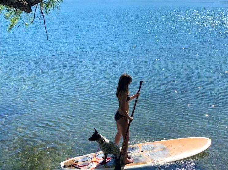 Discovering Stand-Up Paddleboarding Skills on Phillip Island