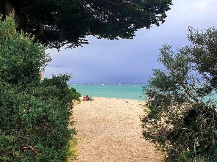 Exploring the Natural Wonders of Mornington Peninsula