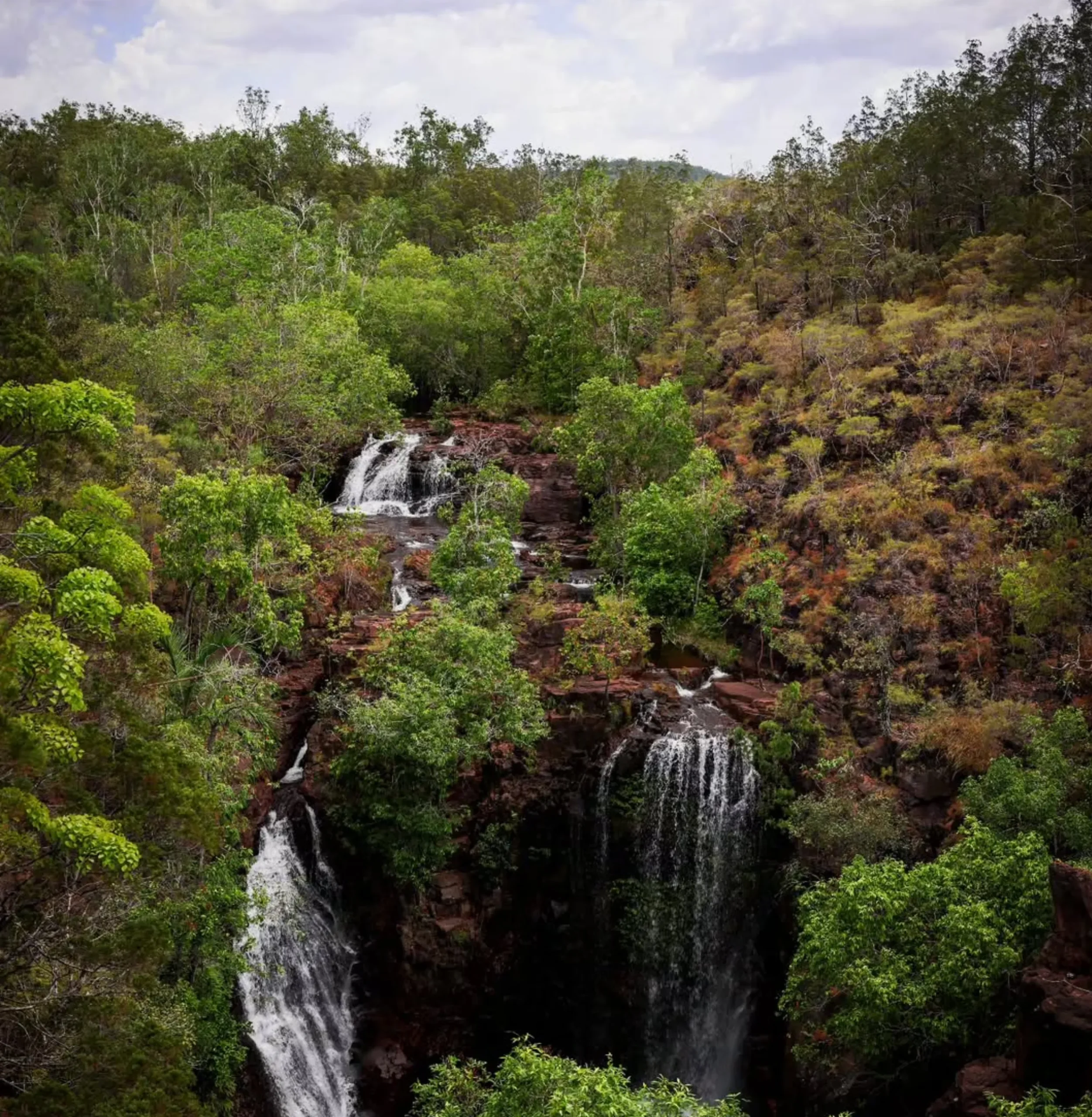 Darwin to Litchfield day trip