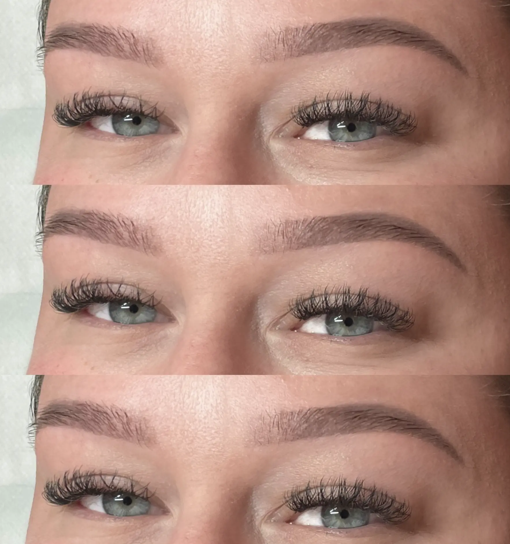 ombre brows luxury studio brisbane